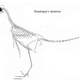 Illustration for article titled Earliest bird was not a bird? New fossil muddles the Archaeopteryx story